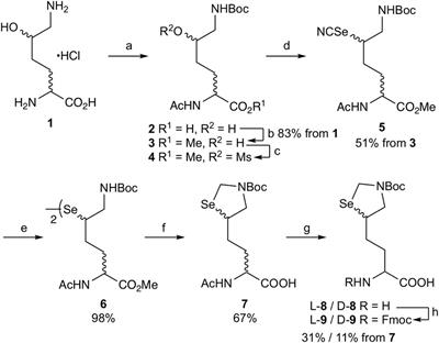 Isopeptide bond formation mediated by δ-selenolysine for chemical ubiquitination